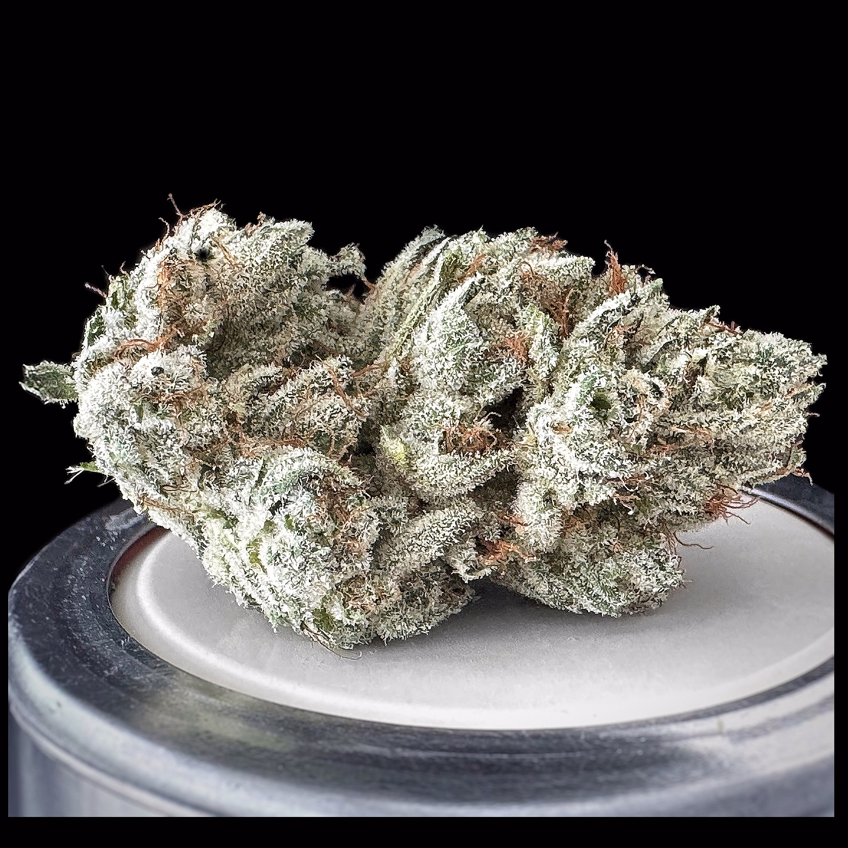 **EXOTIC** White Glue (gg4 x white widow) $220oz / 130½oz